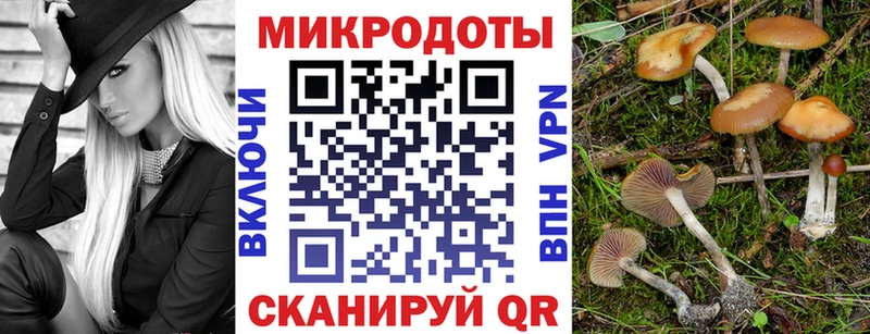 Галлюциногенные грибы мицелий  купить  сайты  Холмск 